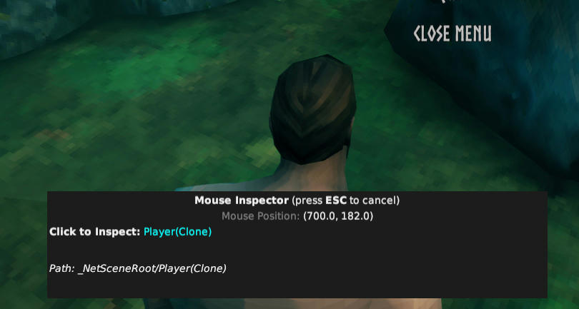 Inspect Player